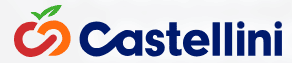 Castellini Company Logo
